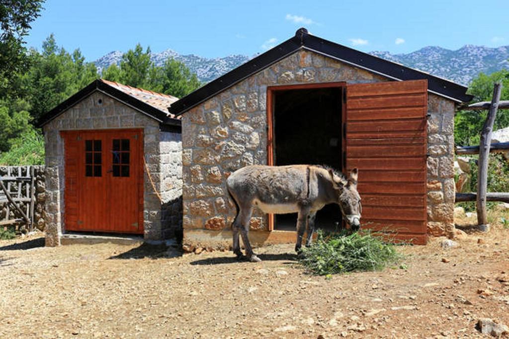 Stone House Magarac Apartamento Seline Exterior foto